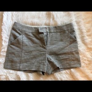 Loft shorts brand new never worn with tags on